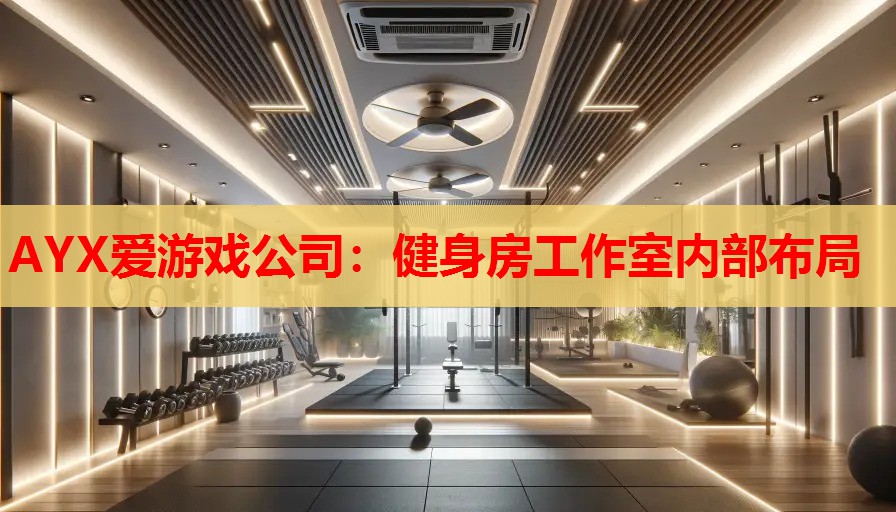 AYX爱游戏公司：健身房工作室内部布局