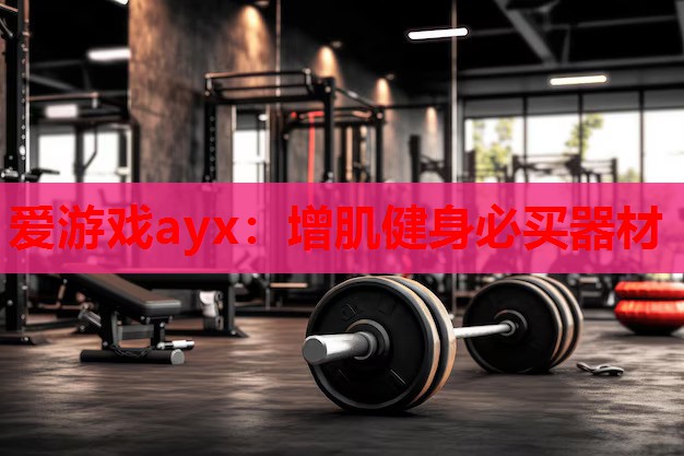 爱游戏ayx：增肌健身必买器材