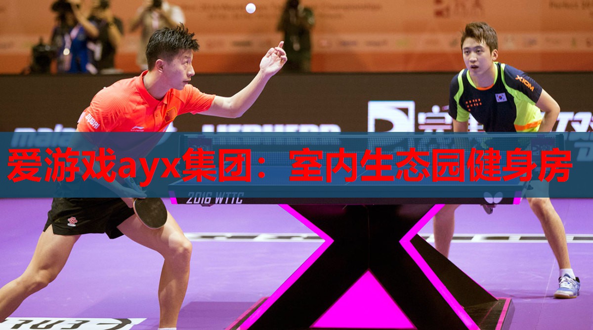 爱游戏ayx集团：室内生态园健身房