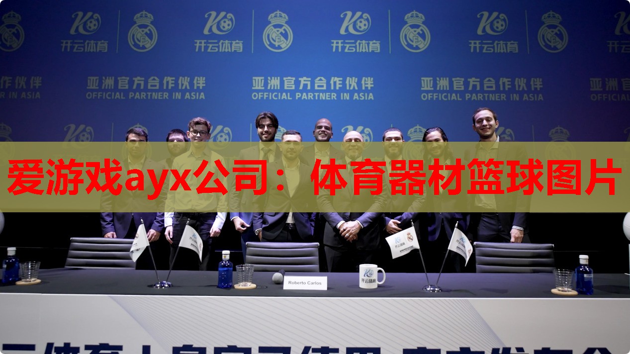 爱游戏ayx公司：体育器材篮球图片