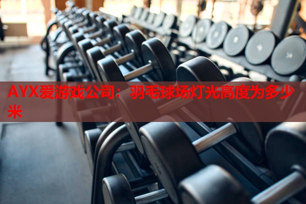 AYX爱游戏公司：羽毛球场灯光高度为多少米