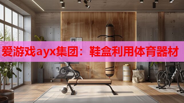 爱游戏ayx集团：鞋盒利用体育器材