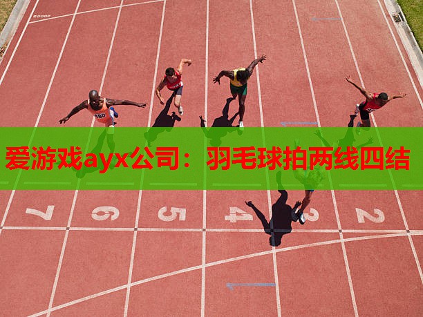 爱游戏ayx公司：羽毛球拍两线四结