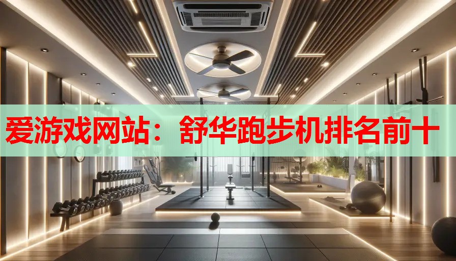 爱游戏网站：舒华跑步机排名前十