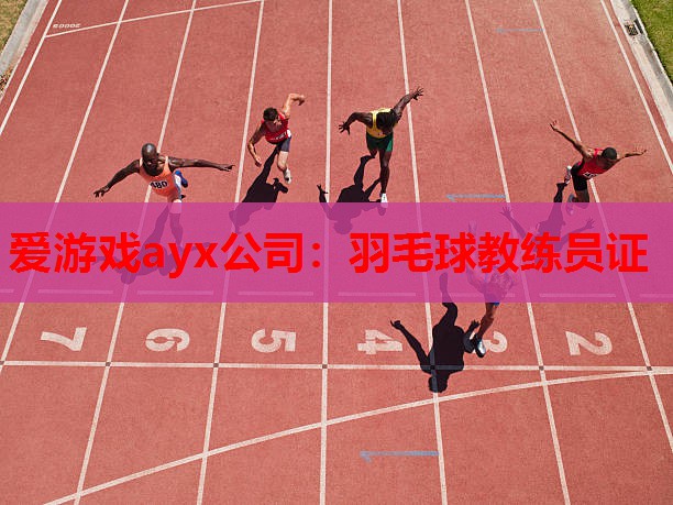 爱游戏ayx公司：羽毛球教练员证