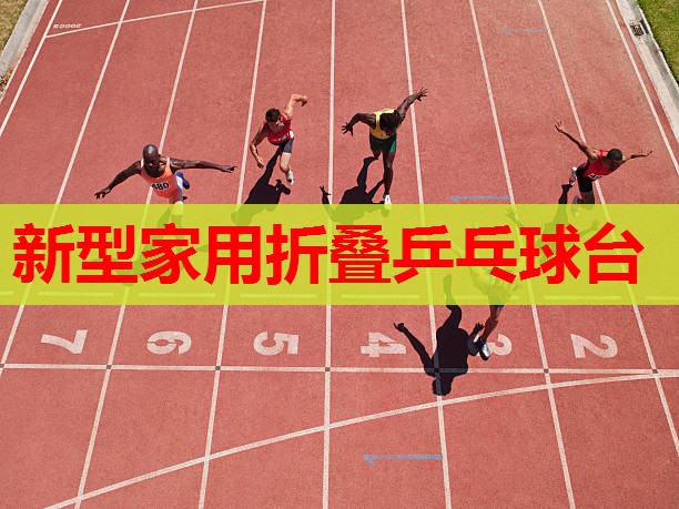 新型家用折叠乒乓球台