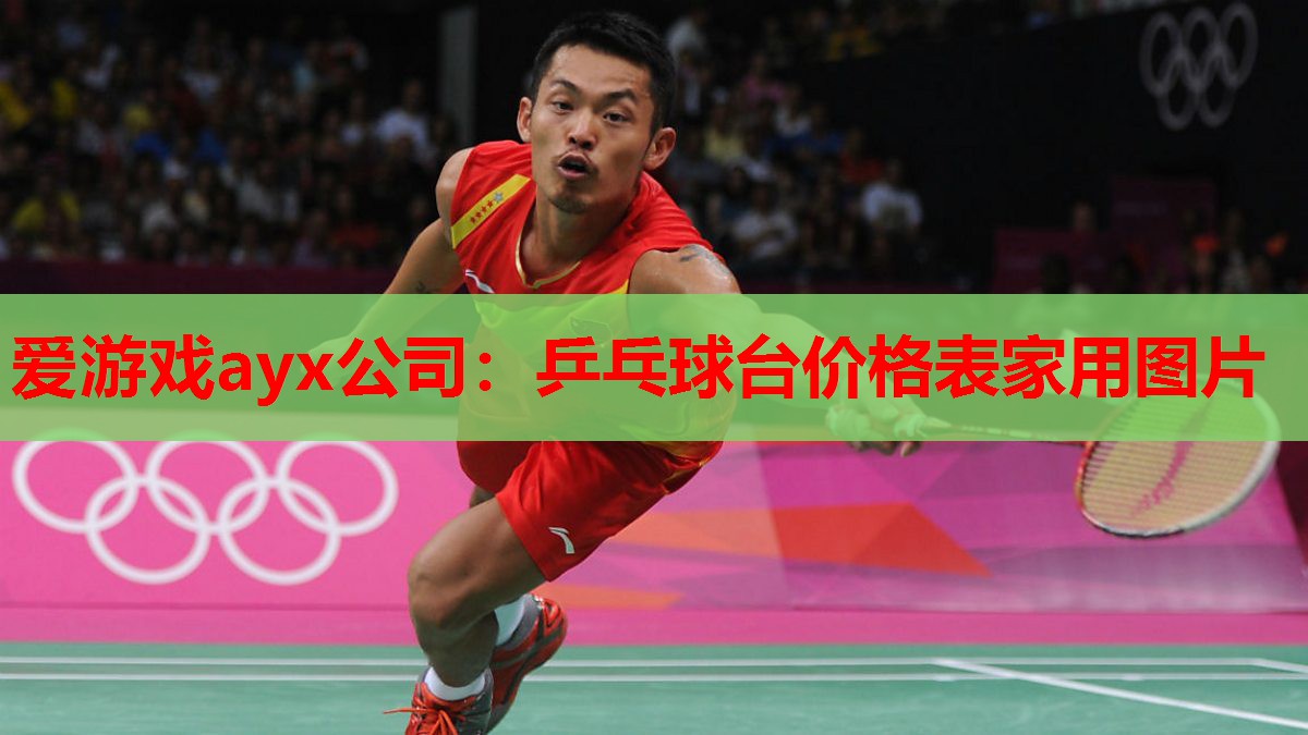 爱游戏ayx公司：乒乓球台价格表家用图片