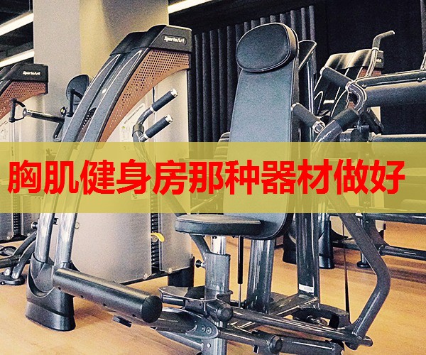 胸肌健身房那种器材做好 胸肌健身房那种器材做好