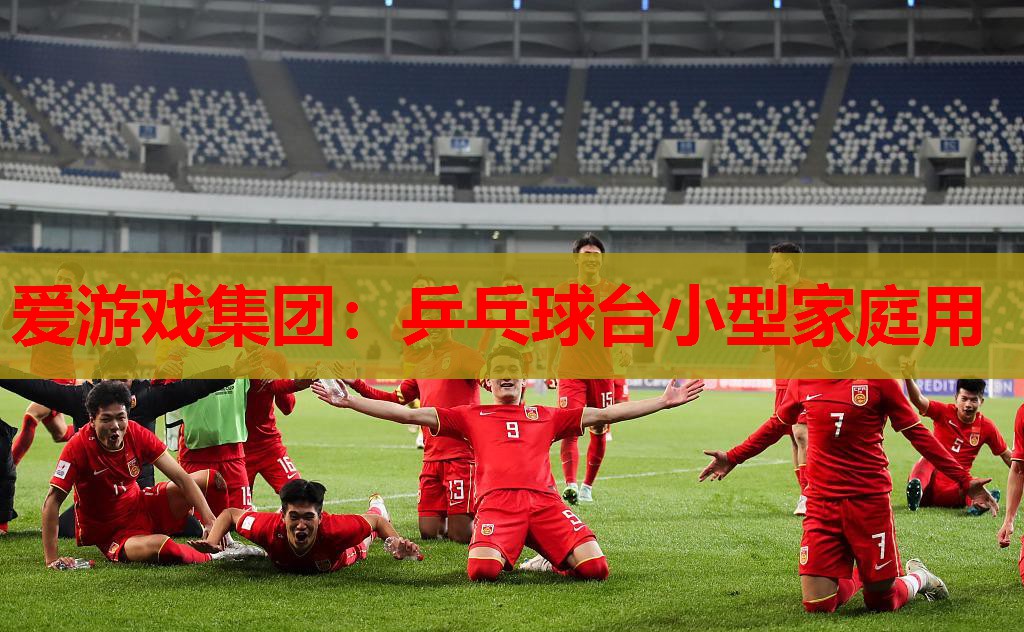 乒乓球台小型家庭用 乒乓球台小型家庭用