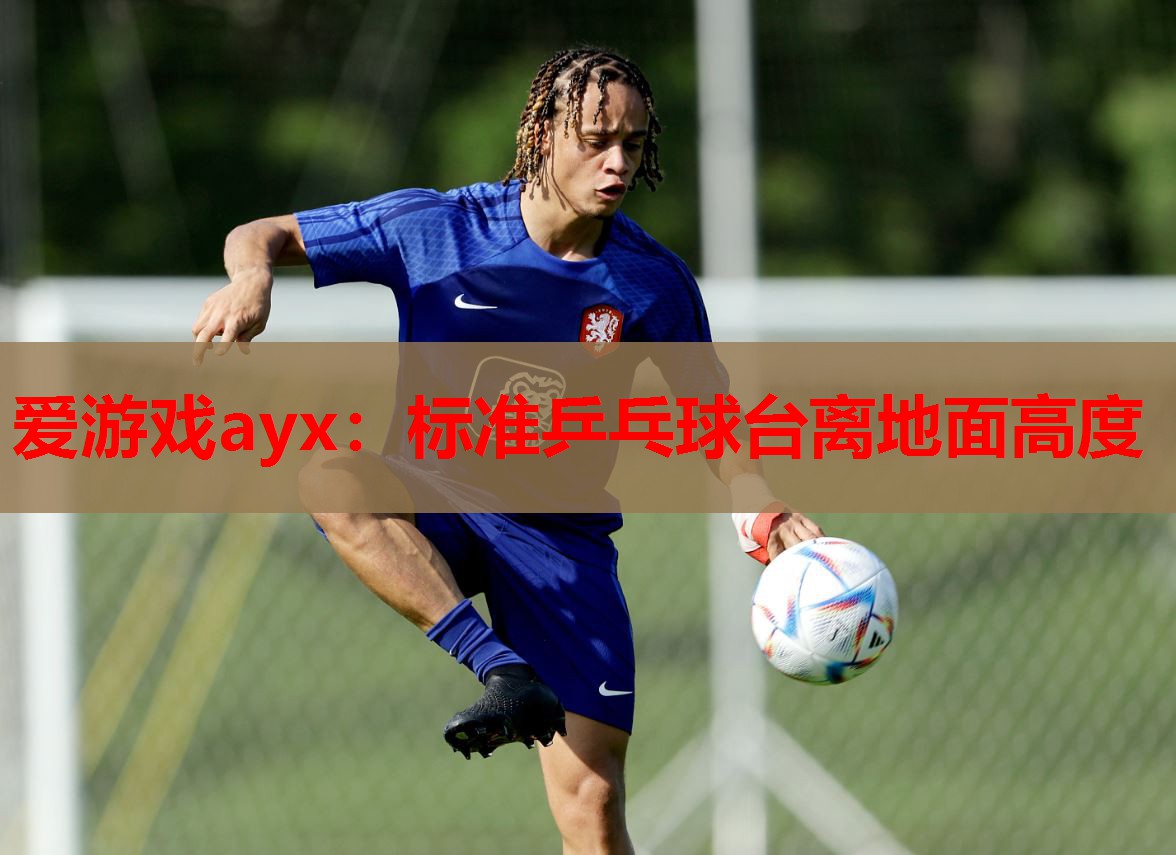 标准乒乓球台离地面高度 标准乒乓球台离地面高度
