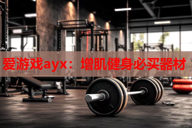 增肌健身必买器材 增肌健身必买器材