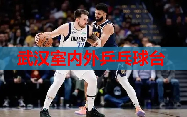 武汉室内外乒乓球台 武汉室内外乒乓球台