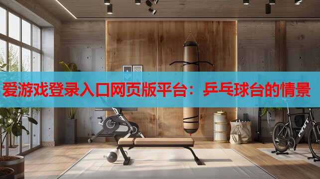 乒乓球台的情景 乒乓球台的情景
