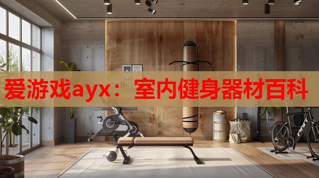 室内健身器材百科 室内健身器材百科