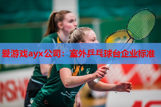 室外乒乓球台企业标准 室外乒乓球台企业标准
