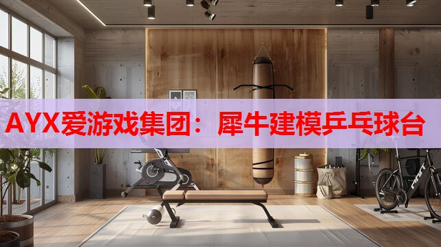 犀牛建模乒乓球台 犀牛建模乒乓球台