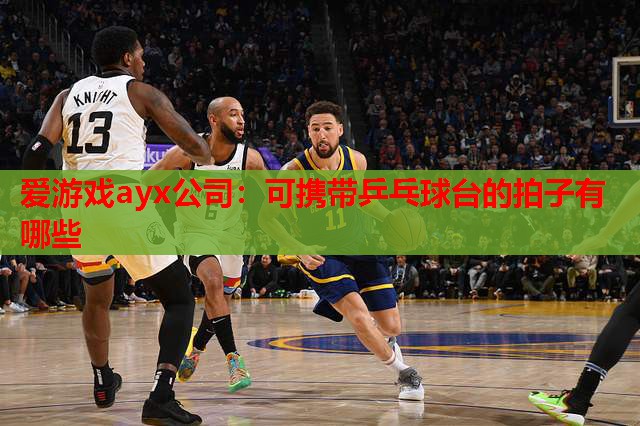 可携带乒乓球台的拍子有哪些 可携带乒乓球台的拍子有哪些