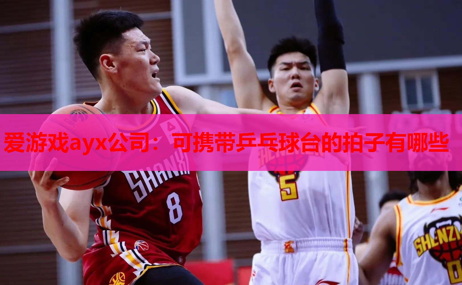 可携带乒乓球台的拍子有哪些 可携带乒乓球台的拍子有哪些