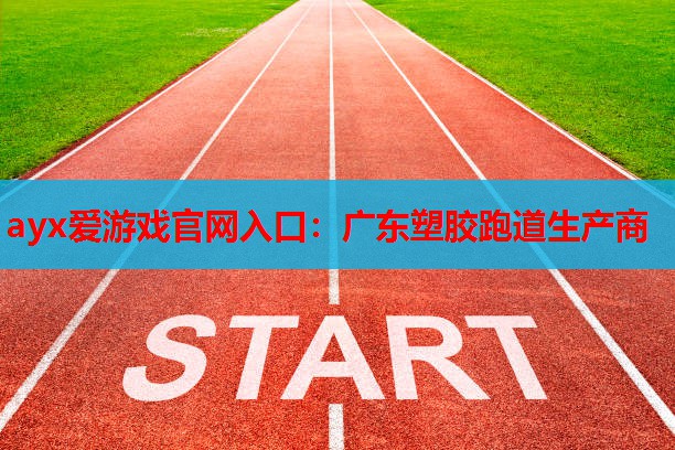 广东塑胶跑道生产商 广东塑胶跑道生产商