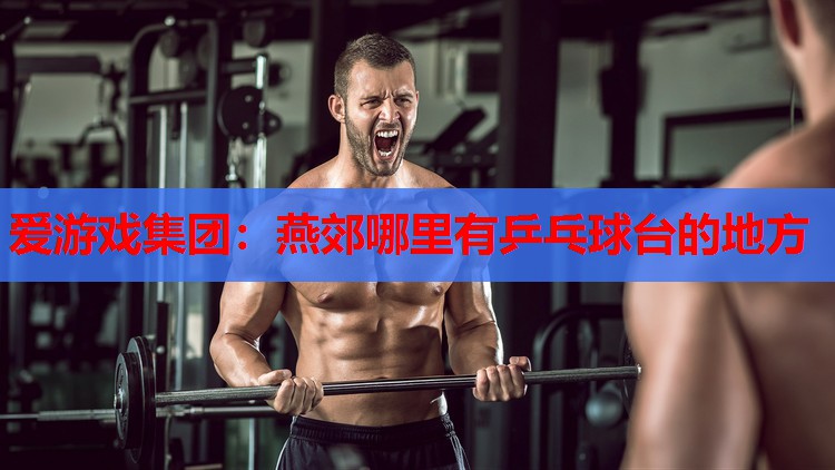 燕郊哪里有乒乓球台的地方 燕郊哪里有乒乓球台的地方