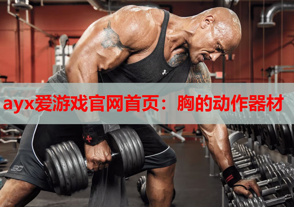 胸的动作器材 胸的动作器材