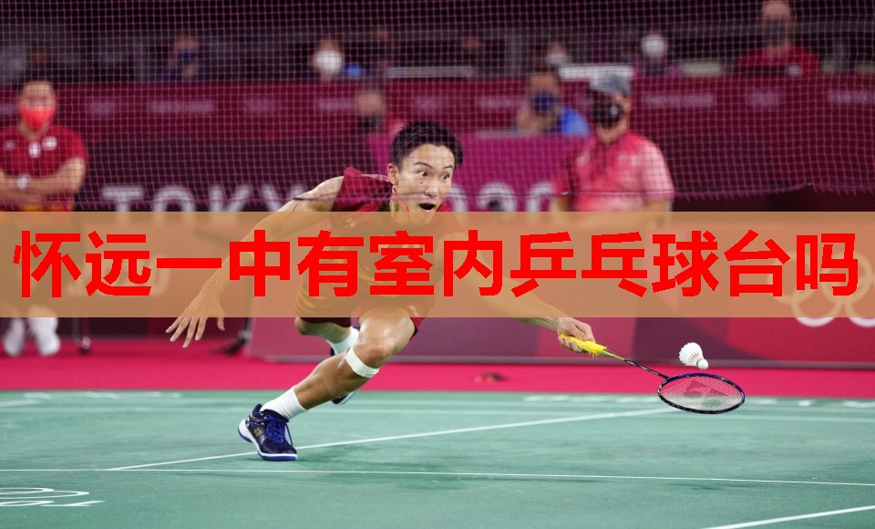 怀远一中有室内乒乓球台吗 怀远一中有室内乒乓球台吗