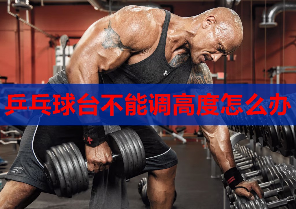 乒乓球台不能调高度怎么办 乒乓球台不能调高度怎么办