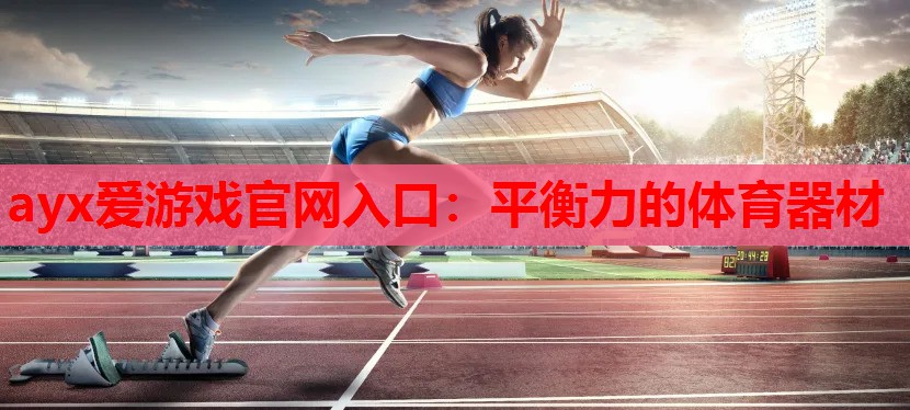 平衡力的体育器材 平衡力的体育器材