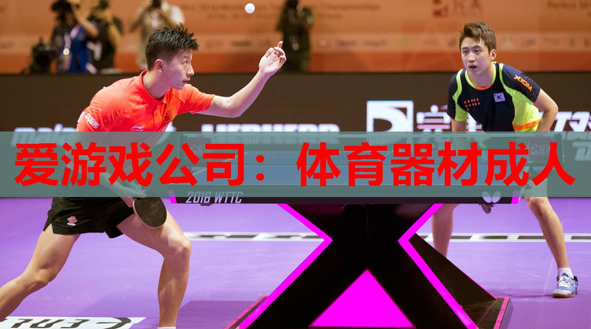 体育器材成人 体育器材成人