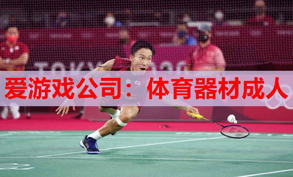 体育器材成人 体育器材成人