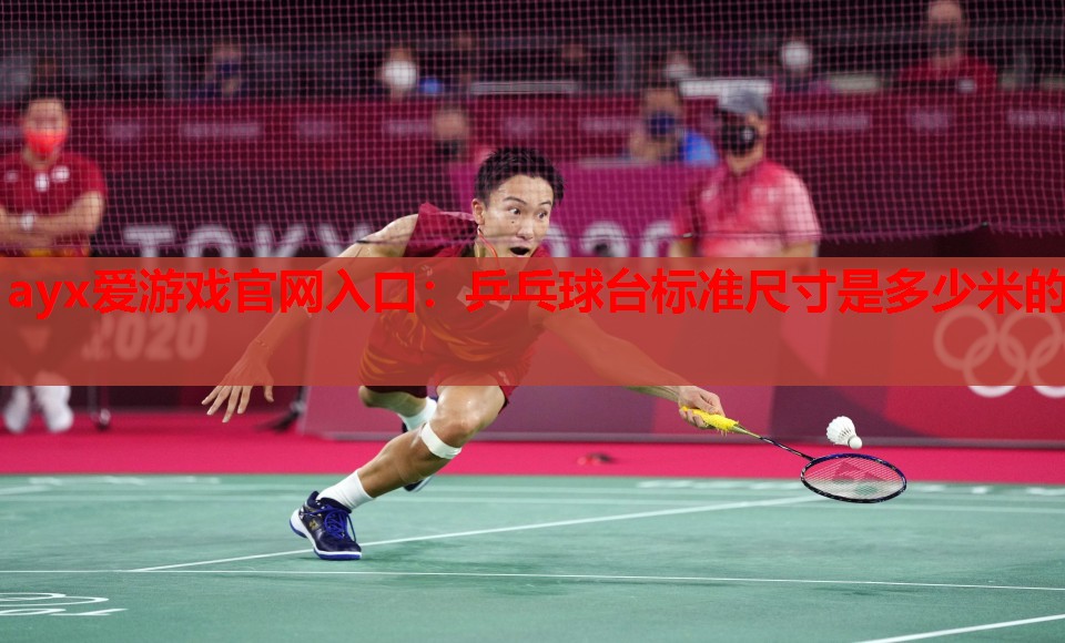 乒乓球台标准尺寸是多少米的 乒乓球台标准尺寸是多少米的