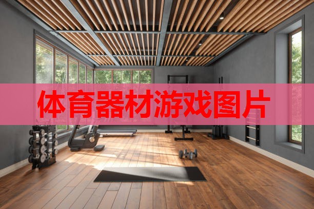 体育器材游戏图片 体育器材游戏图片