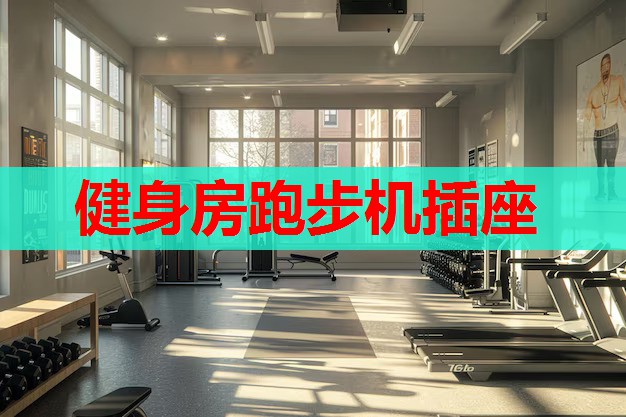 健身房跑步机插座 健身房跑步机插座
