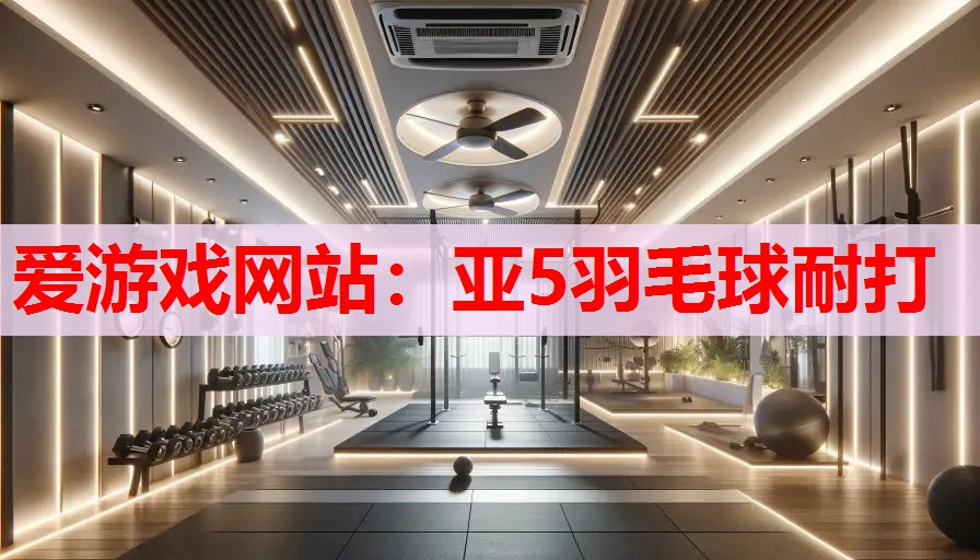 亚5羽毛球耐打 亚5羽毛球耐打