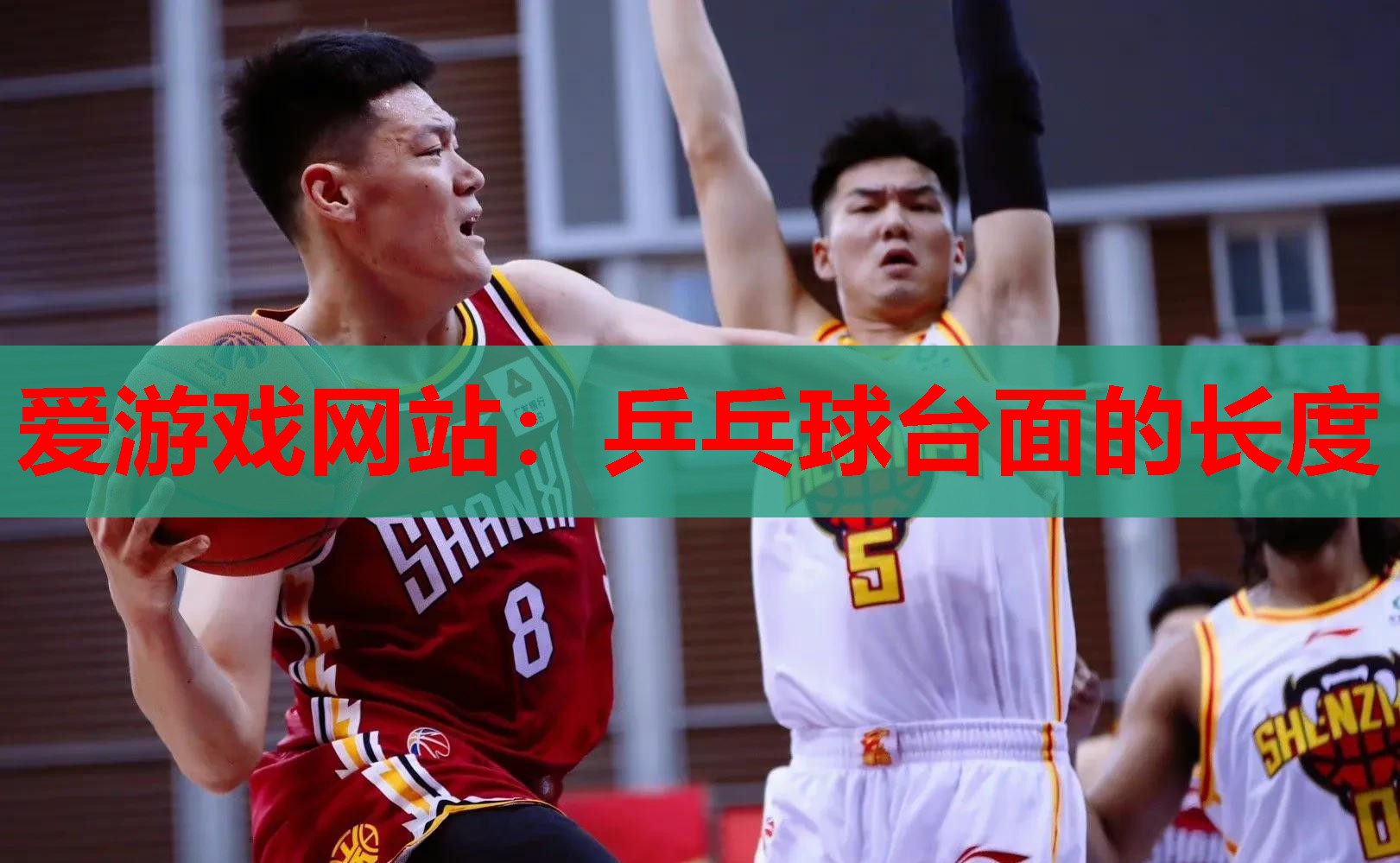 乒乓球台面的长度 乒乓球台面的长度