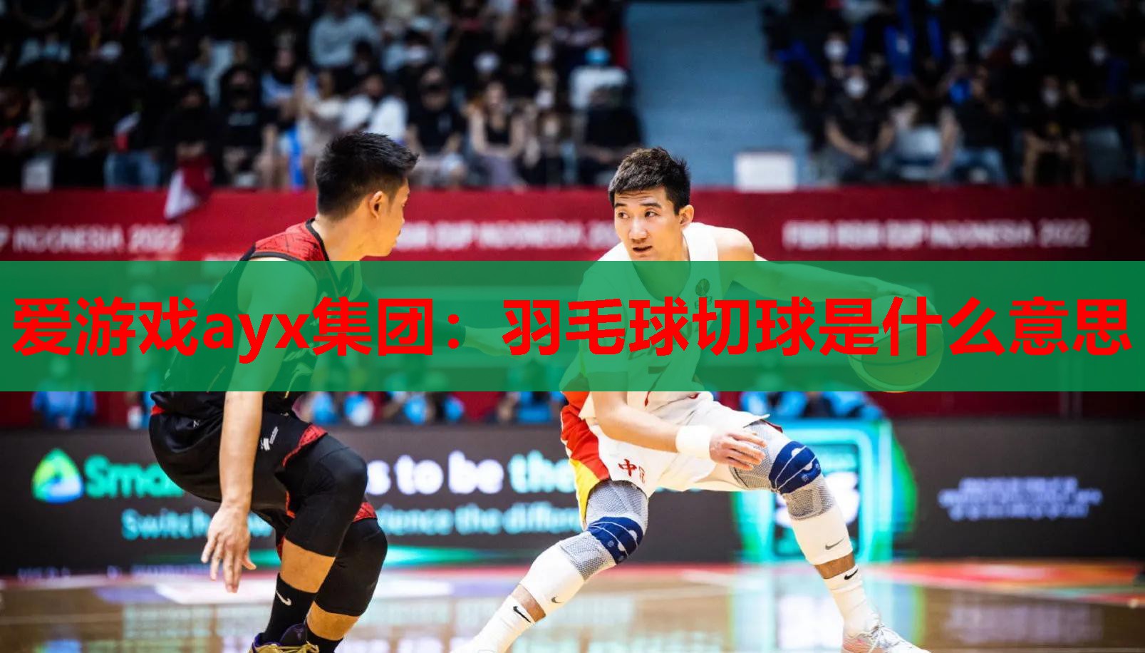 羽毛球切球是什么意思 羽毛球切球是什么意思