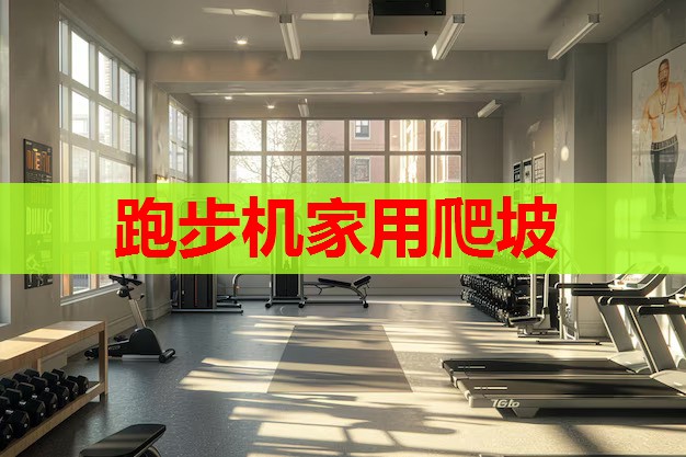 跑步机家用爬坡 跑步机家用爬坡