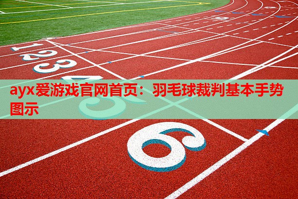羽毛球裁判基本手势图示 羽毛球裁判基本手势图示