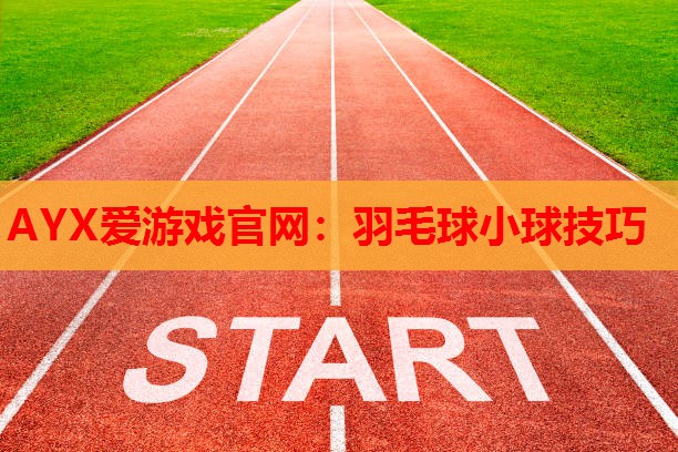 羽毛球小球技巧 羽毛球小球技巧