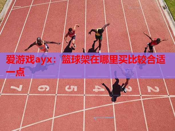 篮球架在哪里买比较合适一点 篮球架在哪里买比较合适一点