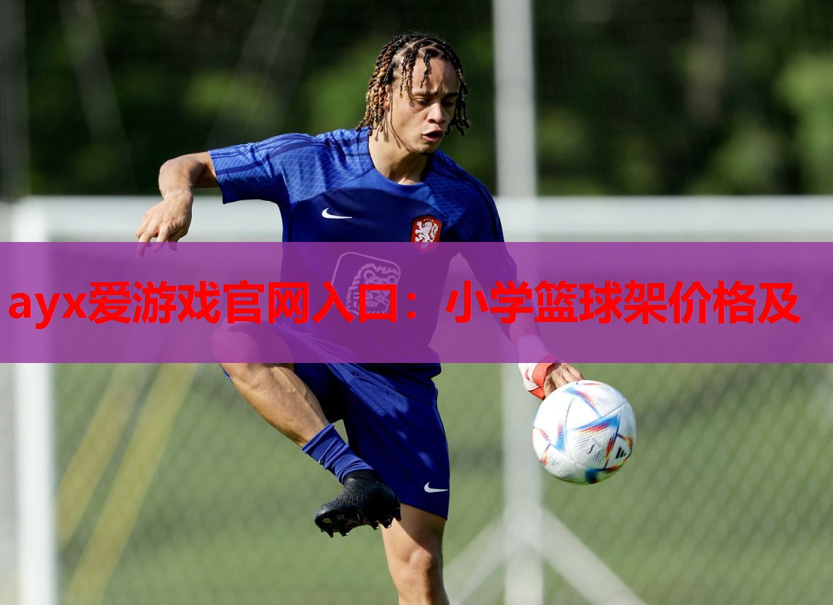 小学篮球架价格及 小学篮球架价格及