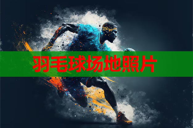 羽毛球场地照片 羽毛球场地照片