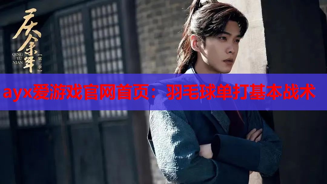 羽毛球单打基本战术 羽毛球单打基本战术