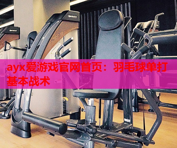 羽毛球单打基本战术 羽毛球单打基本战术