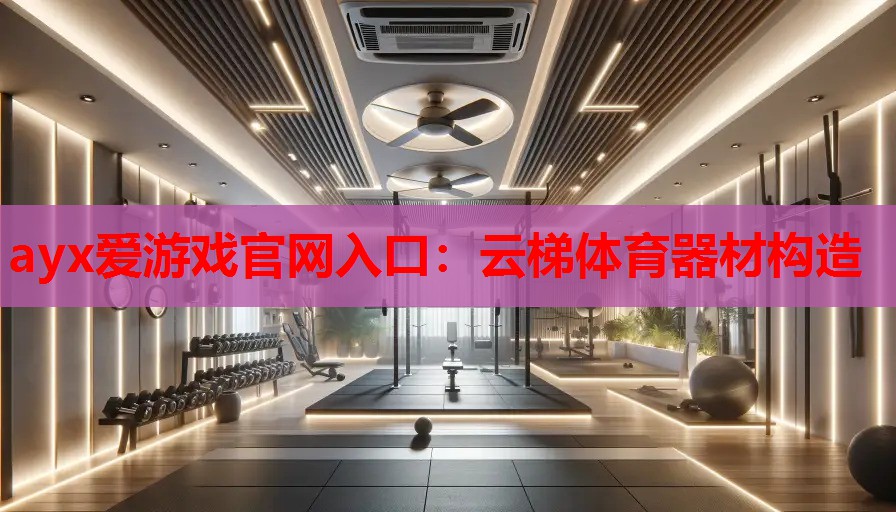 云梯体育器材构造 云梯体育器材构造