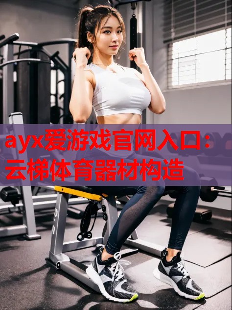 云梯体育器材构造 云梯体育器材构造
