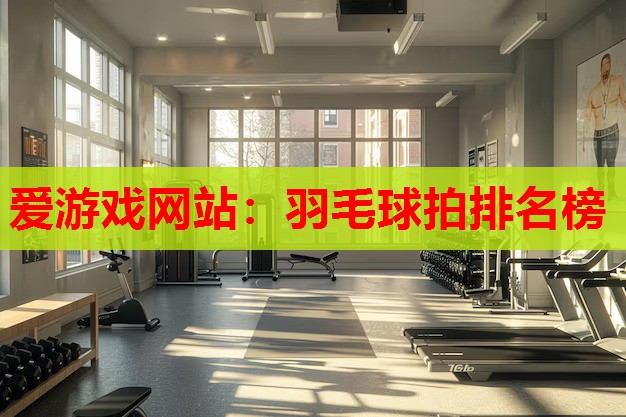 羽毛球拍排名榜 羽毛球拍排名榜