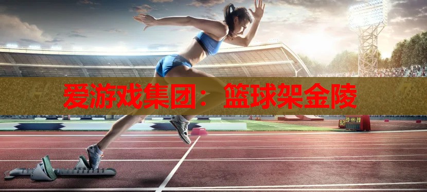 篮球架金陵 篮球架金陵