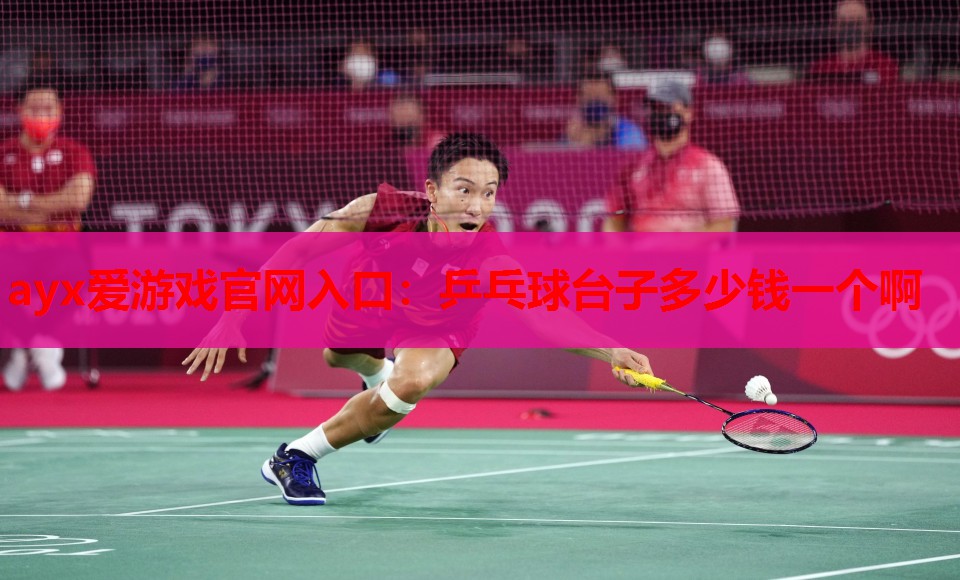 乒乓球台子多少钱一个啊 乒乓球台子多少钱一个啊