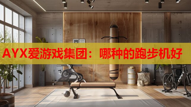 哪种的跑步机好 哪种的跑步机好